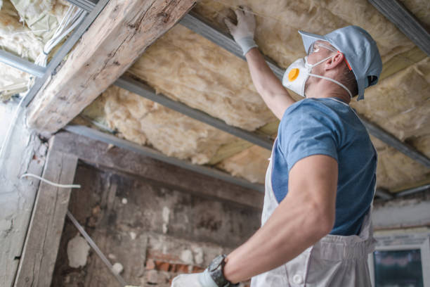 Best Cellulose Insulation in Crystal Lake, FL