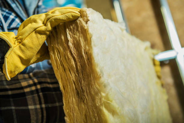 Best Eco-Friendly Insulation in Crystal Lake, FL