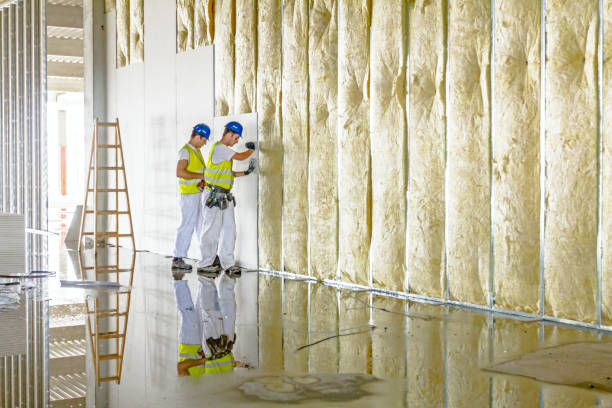 Best Blown-in Insulation in Crystal Lake, FL